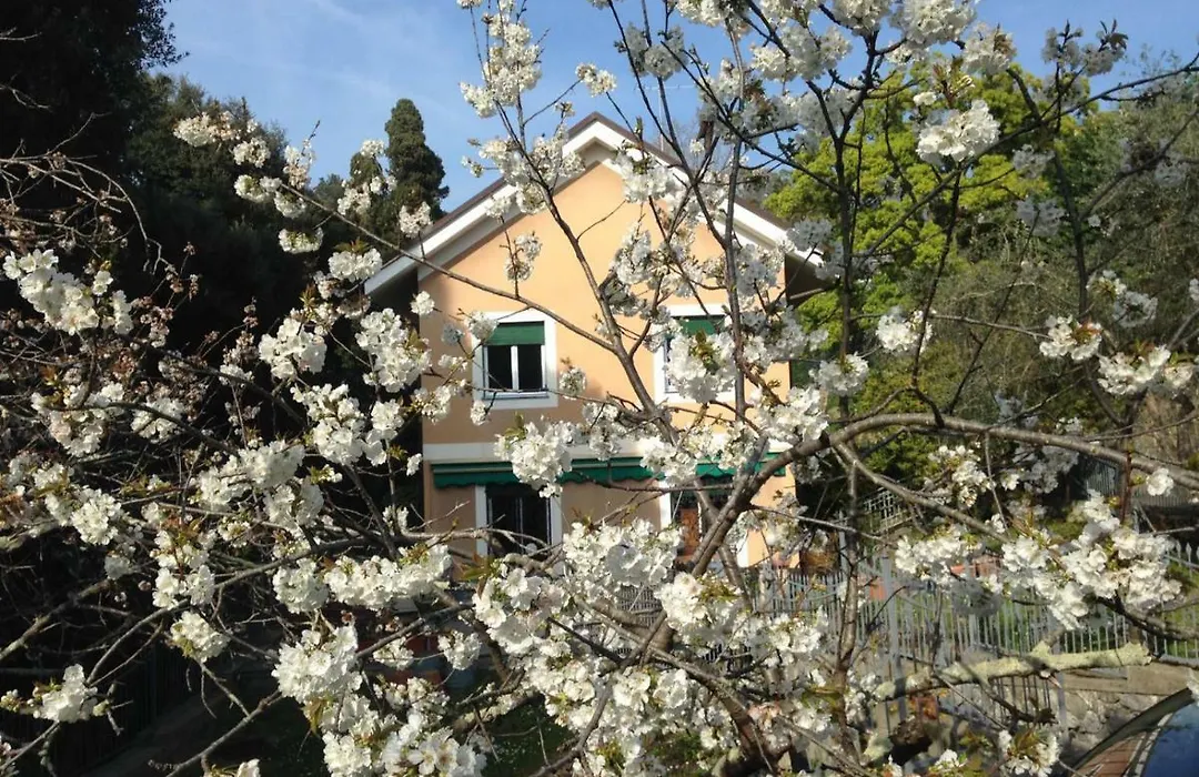 B&B La Rosa Segreta-1